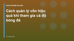 Read more about the article Cách quản lý vốn hiệu quả khi tham gia cá độ bóng đá